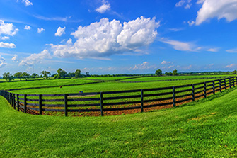 Homes for Sale in Lexington KY | 3949 Lemons Mill Pike Lexington, KY 40511 | Photos by KRanchev Photography, LLC | The Best Real Estate Photography Services in Lexington, KY | Listing Agent: Kassie Bennett | Agency: Keller Williams Greater Lex | $2,195,000  | 4 Beds  |  2 Baths  |  213 acres      | MLS#1501048 | Cherry Knoll Farm- Here Is The Rare Opportunity To Own One Of Lexington's Distinct Horse Farms Minutes From The World Famous Kentucky Horse Park With Over 213 Acres In Fayette/Scott Counties. Allow The Farm To Pay For Itself! This Opportunity Is Rare! With Over 91 Stalls With Immaculate Barns and Equine Facility ...